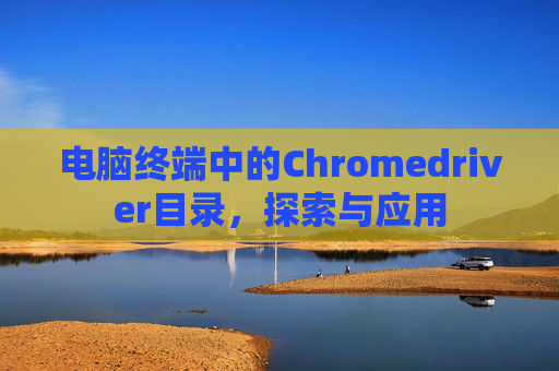 电脑终端中的Chromedriver目录，探索与应用